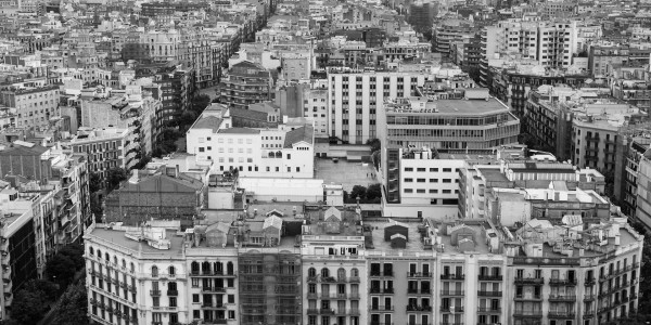 Delitos Contra la Propiedad / Urbanísticos Palma de Mallorca · Parcelación en Suelo No Edificable