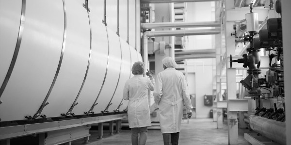 Delitos Societarios Es Migjorn Gran · Delitos Riesgos Laborales / Prevención de Riesgos